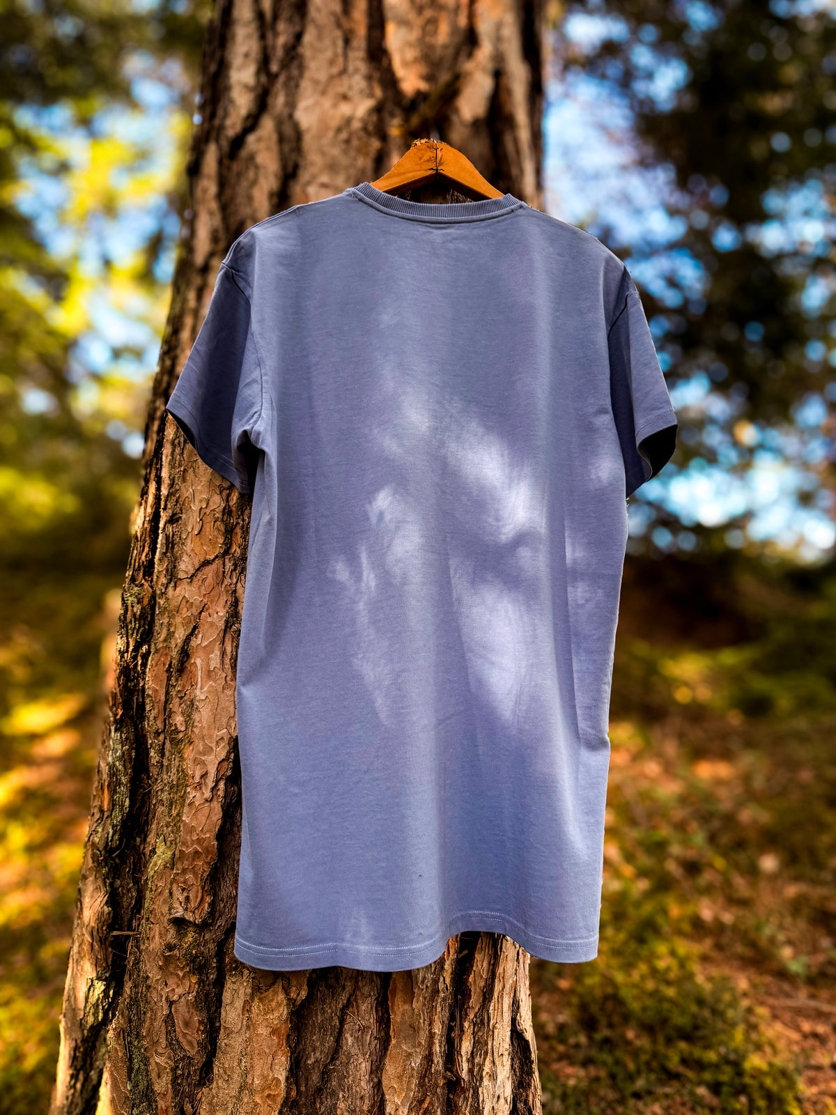 MOUNTREE Frame Logo Tee Blue – Rückansicht am Baum im Wald